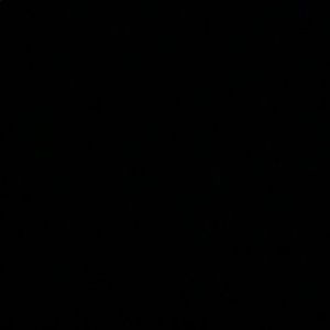 Meet your Posher, Kiara